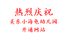 热烈庆祝 美东小海龟幼儿园 开通网站