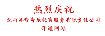 热烈庆祝 龙山县哈奇乐托育服务有限责任公司 开通网站