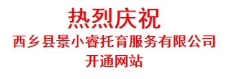 热烈庆祝 西乡县景小睿托育服务有限公司 开通网站